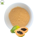 Papaya Powder/Papaya Seed Powder/Green Papaya Powder